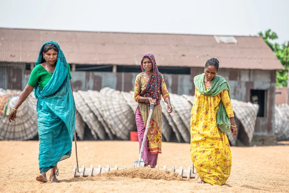 Women working together on a rural farm in India