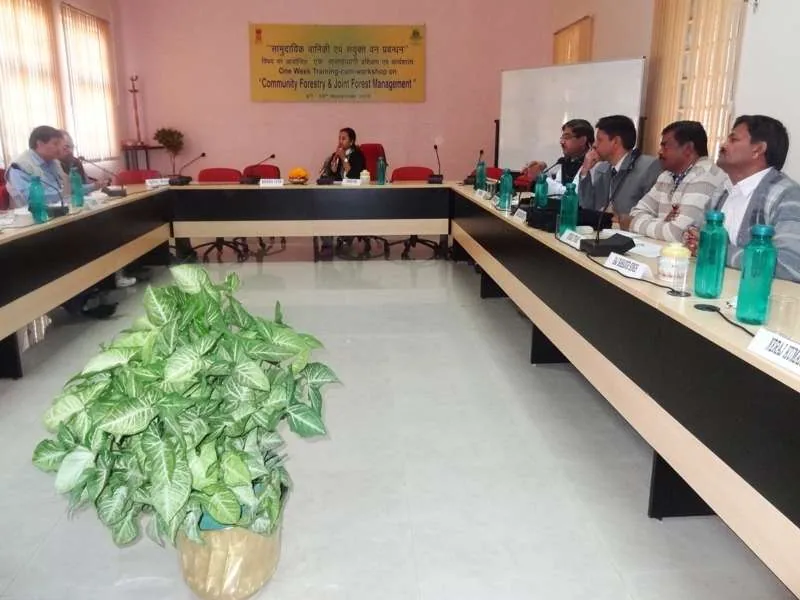 Workshop participants attending a forestry capacity-building discussion